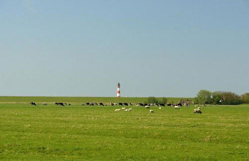 Schäferhof Dircks Fewo 4 - Foto 30