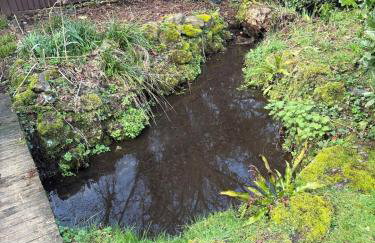 Little Vine Cottage in the grounds of Leeds Castle - Foto 10