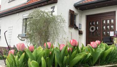 Märchenherberge 7 Zwerge - Foto 4, Garden, Garden view