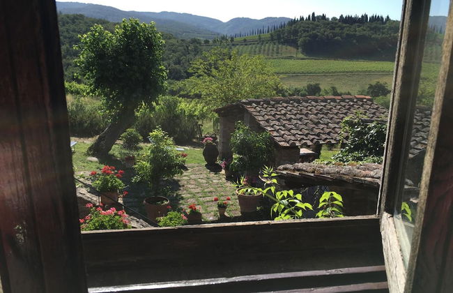 Podere Terreno alla Via della Volpaia - Foto 12