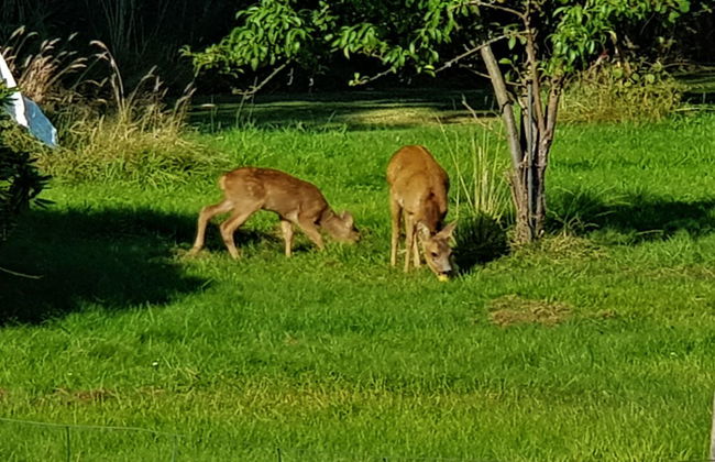 "Asmine" - 670m from the sea - Foto 5