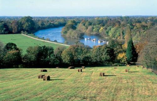 Stylish Studio Apartment, ensuite, kitchenette - Foto 23