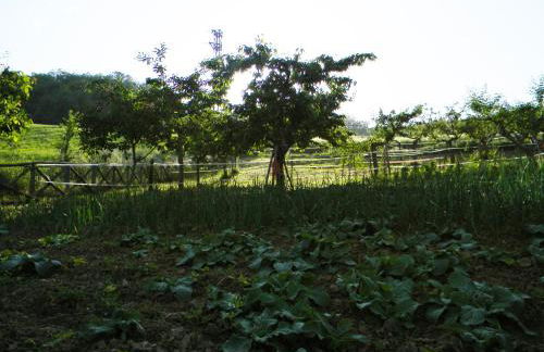 Azienda Agrituristica Colle San Giorgio - Foto 44