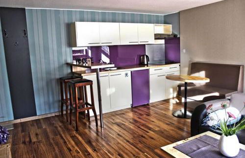 Ferienwohnungen "Am Mühlteich" - Photo 4