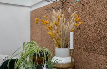 Grande Maison Cusset - Maison de ville et Studio - Foto 21