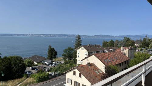 IMMODREAMS - L'Attik with lake views and 80m2 terrace - Foto 4