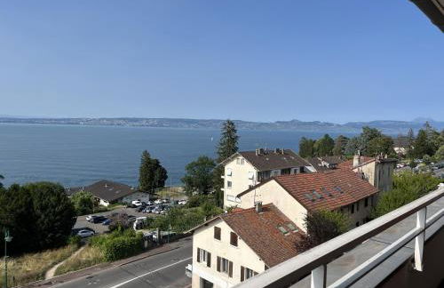 IMMODREAMS - L'Attik with lake views and 80m2 terrace - Foto 4