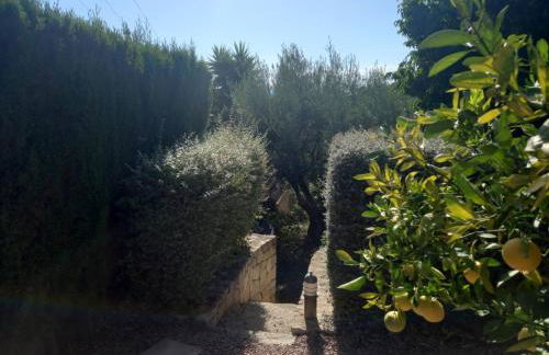 Villa Anna-Altea - Photo 40