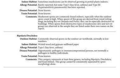 Blissful Townhouse Retreat - Foto 14