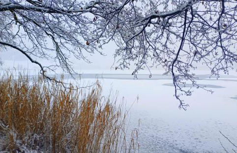 Ca' del Pettirosso - Foto 43