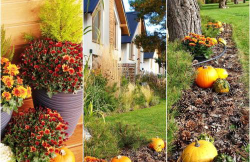 Sjesta al mare, domki z sauną i balią z jacuzzi - Foto 75