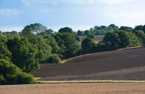 The Stables, relax in 5 star style and comfort with lovely walks all around - Foto 24