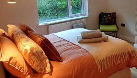 The Pilgrims - Foto 5