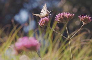 Podere La Gualda Vecchia alloggi di charme immersi nel Giardino Emozionale outdoor SPA - Foto 69