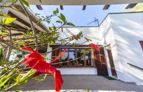 Sa Rota de l'Avi - Can Colombas - Photo 25