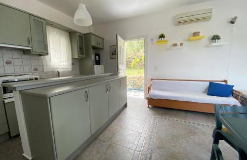 Andros Vineyard house with sea view - Foto 30