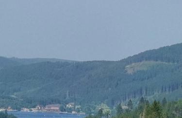 Seeblick in Schwarzwald - Foto 30