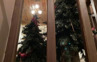 Cozy Nest House Δίκορφο Ζαγορίου - Foto 20