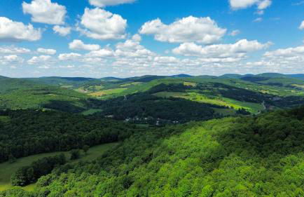 Bovina Mountain High - Foto 43