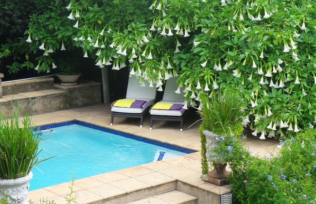 Melrose Executive Suites - Foto 30