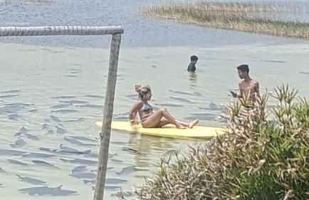 Casa lagoa dos tambaquis - Photo 23