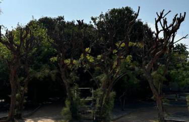 Bangalô 5 Dorms - Victory Lucena - Photo 16