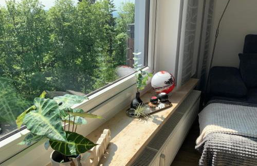 Fuchsenstein 44 - Foto 39