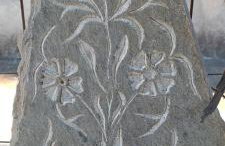 Kitharida garden - Foto 9