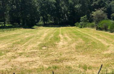 Location saisonnière - Photo 14