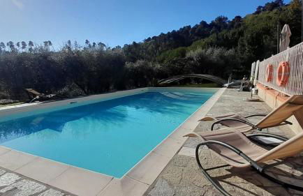 Villa Oliviana - Foto 32