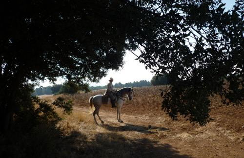 La Posada del Hidalgo de Alarcón - Foto 21