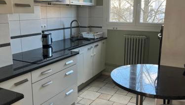 Grand Appartement le Saint Marceaux Reims centre - Foto 4