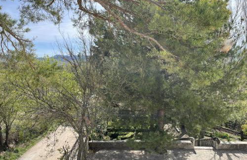 Cortijo San Roque Alojamientos Rurales - Foto 56