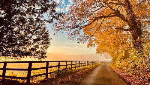 Barn Cottage -Westerlands - Foto 4