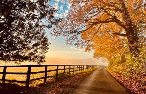 Barn Cottage -Westerlands - Foto 4