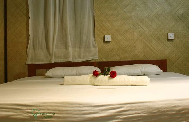 Thick forest sigiriya - Photo 18