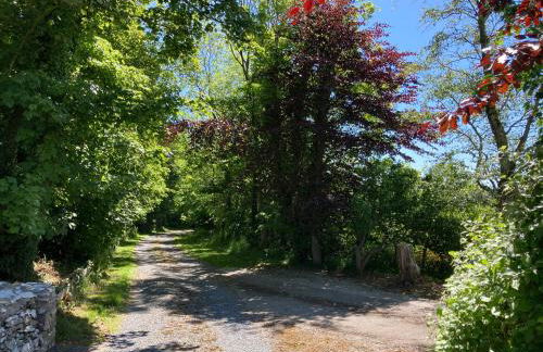 Old Station House - Kilfillan Cottage - Foto 24