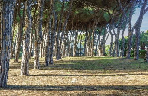 Beach Front Apartment - Foto 28