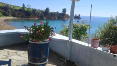 Agnanti Kotsikia - Foto 4