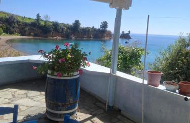 Agnanti Kotsikia - Foto 4