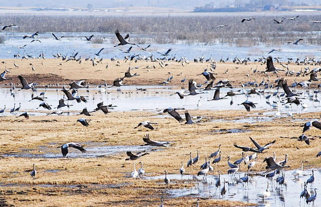 Holiday Home in Vara - Photo 4