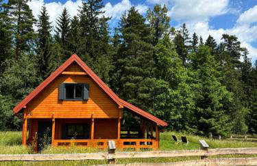 Okno na las - Foto 13