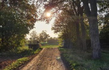 Ferienhaus Q1, Ruhe und Erholung in der Eifel - Foto 33