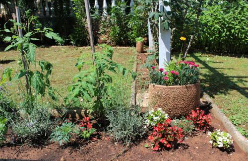 Apartments Seka - Foto 11