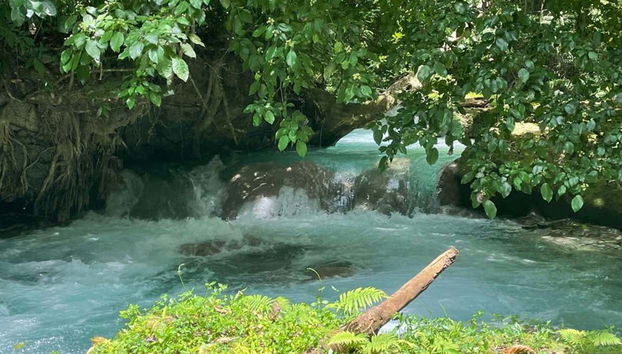 Visite d’Ocho Rios et du Blue Hole - Photo 3