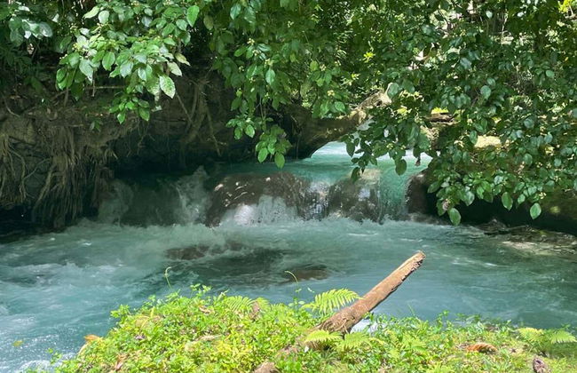 Ocho Rios & Blue Hole Tour - Photo 5