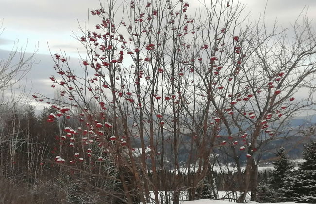 Les Trois Mentors Ghandi, Mandela, Luther King - Foto 12