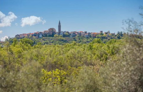 4 Bedroom Nice Home In Buje - Foto 26