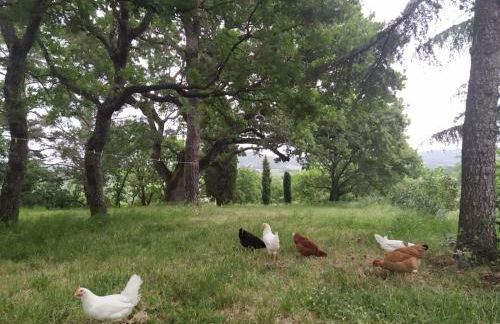 Agriturismo La Villetta - Foto 15