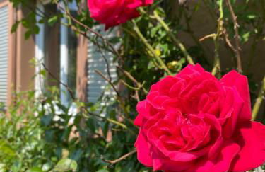 Ferienhaus Le Bain du Corbeau - inklusive Gratis-Eintritt zu 80 touristischen Highlights im Schwarzwald - Foto 28